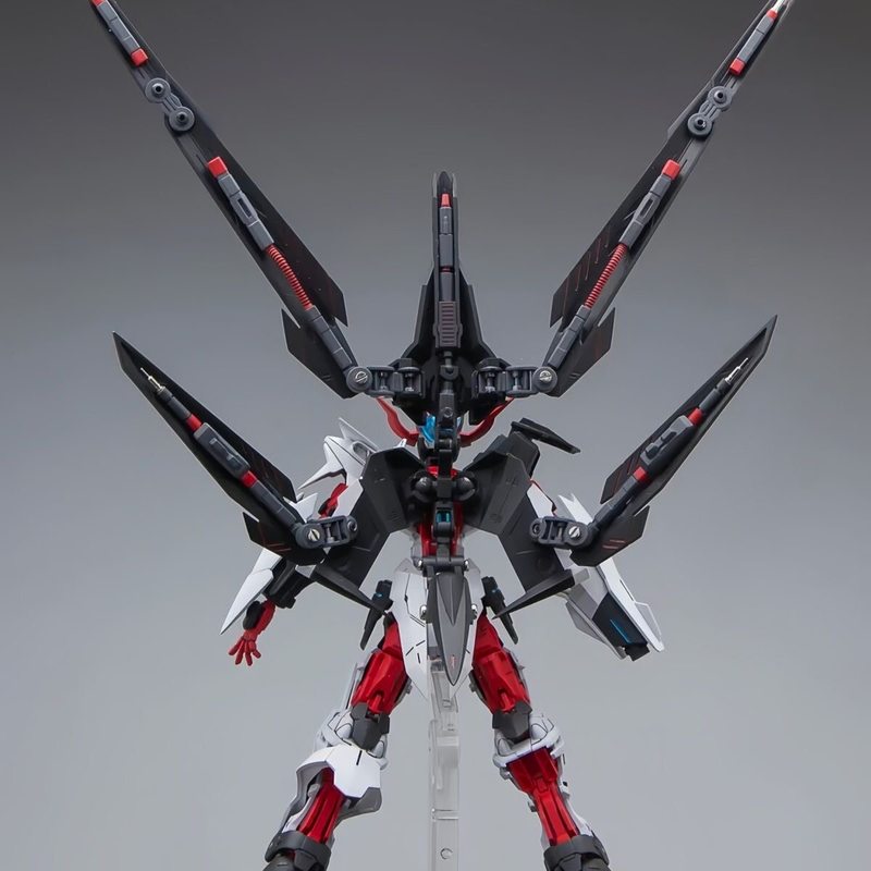 Hg 1/144 Astray No-Name Astray - огляд і ціна Gundam Model Mg