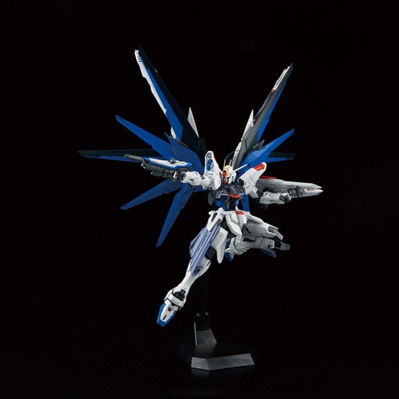 In Stock BANDAI MG 1/100 ZGMF- - огляд і ціна Gundam Model Mg