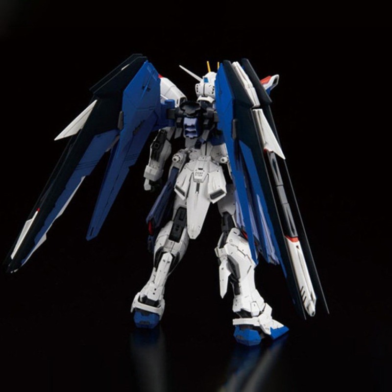 In Stock BANDAI MG 1/100 ZGMF- - огляд і ціна Gundam Model Mg