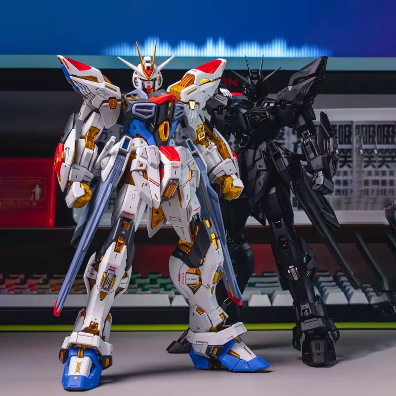 CHANGLONG Model 7701 MGEX ZGMF - огляд і ціна Gundam Model Mg