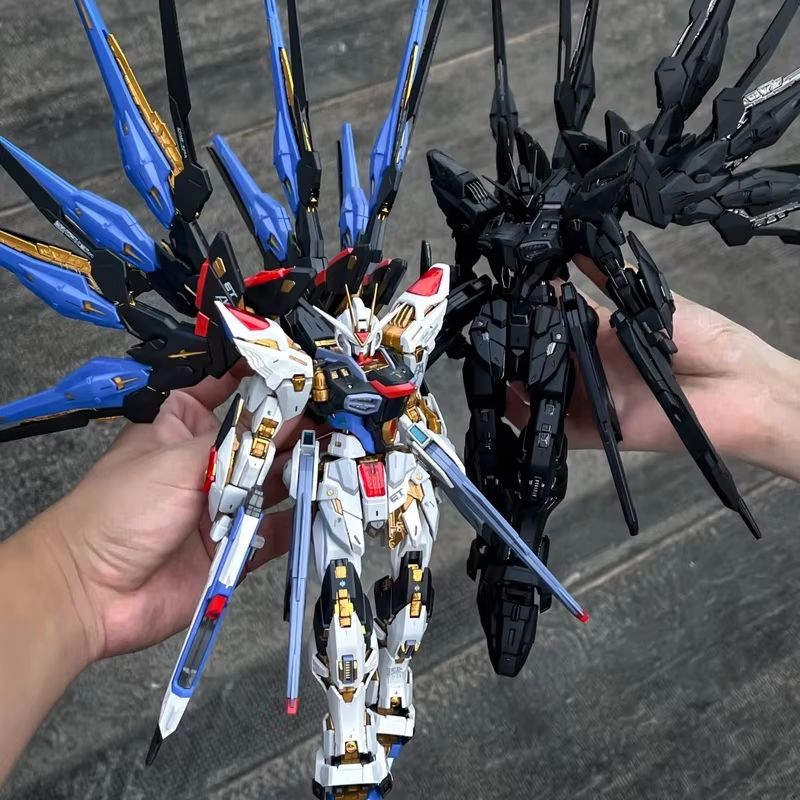 CHANGLONG Model 7701 MGEX ZGMF - огляд і ціна Gundam Model Mg
