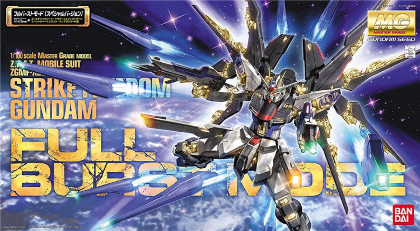 BANDAI MG 1/100 ZGMF-X20A Stri - огляд і ціна Gundam Model Mg