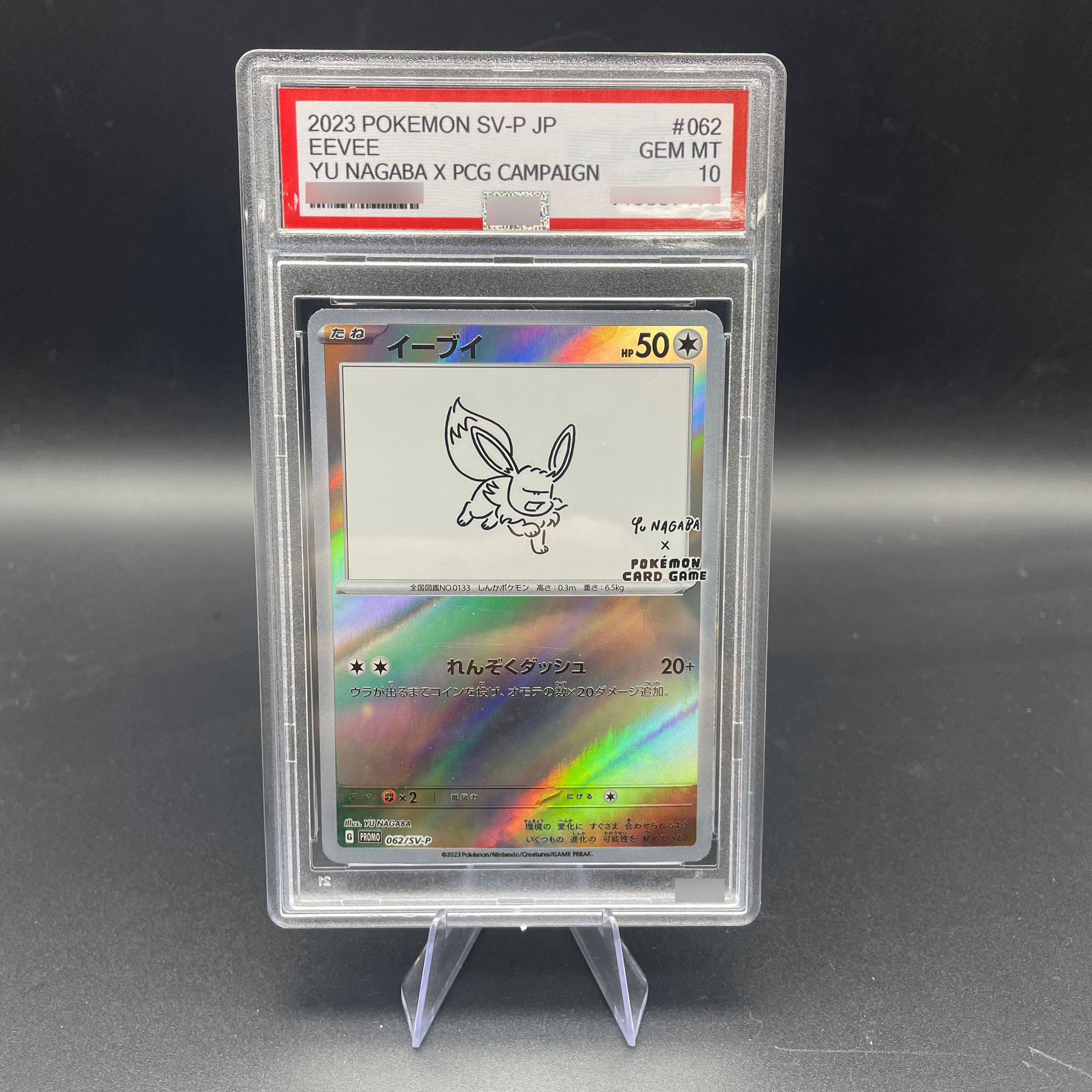 DIY Anime 2023 PTCG SV-P Japan - огляд і ціна Model Kit Plastic