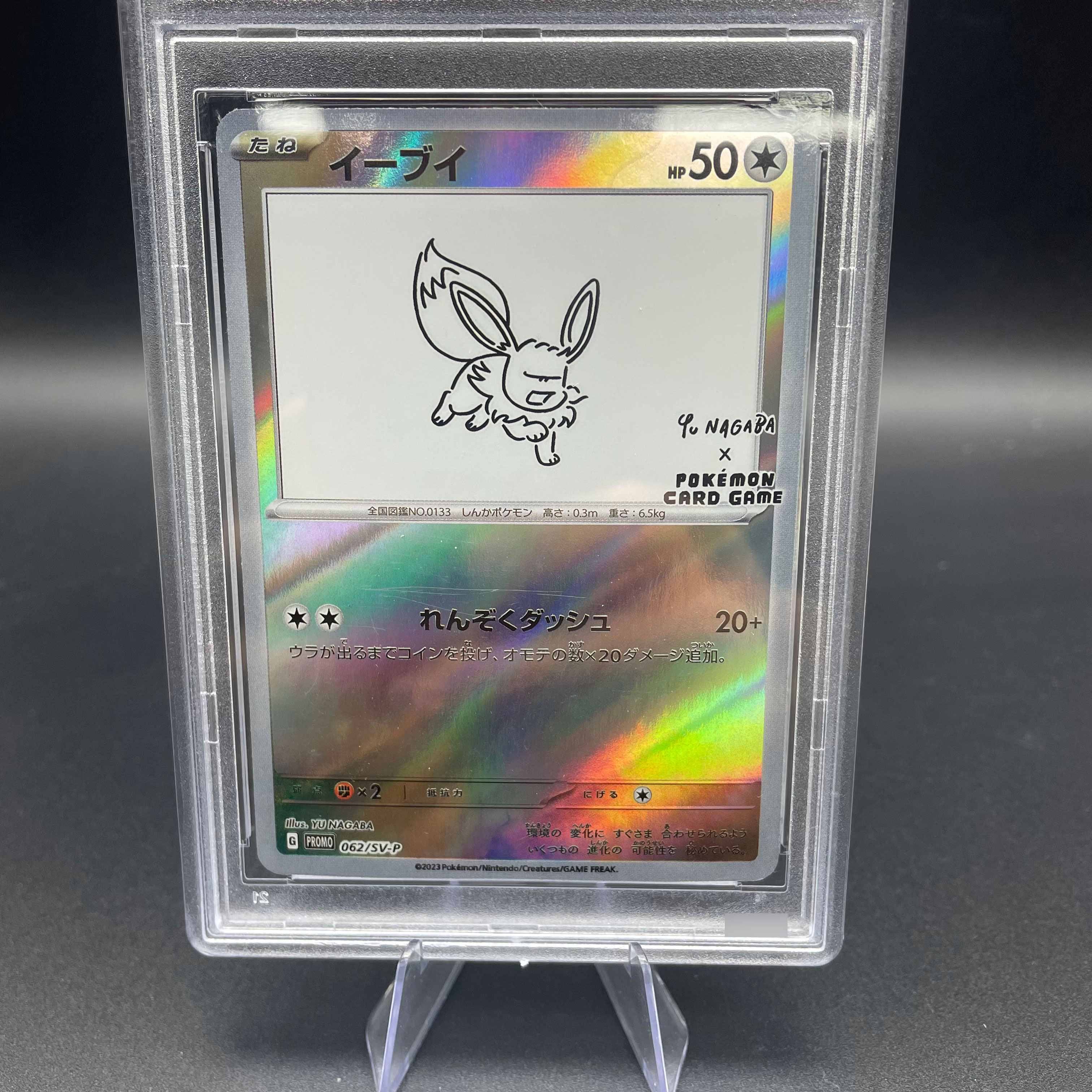 DIY Anime 2023 PTCG SV-P Japan - огляд і ціна Model Kit Plastic