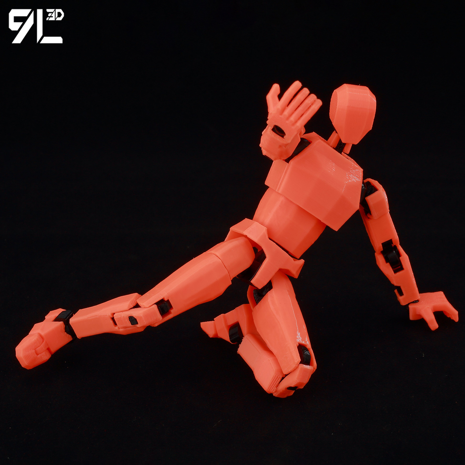 9L 3D Printed Articulated Dumm - огляд і ціна Model Kit One Piece Bandai